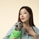 러브앤펫 이미지