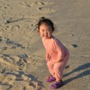 비체팰리스콘도 이미지