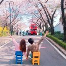 두류공원로 화장실 이미지