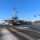 공단로가로수 이미지