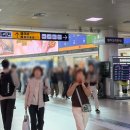 지에스(GS)25 영대천마점 | 26.03.28 - 03.29. [경주] 무계획 봄여행도 좋잖아!! 1일차🌸