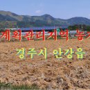 충연농장 네이버블로그