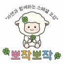 홈플러스평촌점 | [문화센터 후기] 자연과 함께하는 스페셜 오감 - 뽀작뽀작 (홈플러스 평촌점)