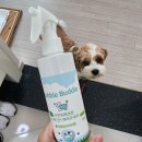 하나로동물병원 | 산책 5분 만에 진드기 50마리? 동물 병원 추천 &#39;이것&#39; 하나로 해결했습니다 (내돈내산 후기)