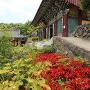 금강장 - 은평구 통일로65길 9 | 금강장