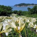 전북산림환경연구소(산림청) 세계일보