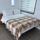 까사모로 이미지