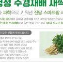 주식회사 케이팜 농업회사법인 이미지