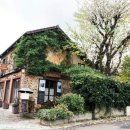 마담퐁텐 | 프랑스 워킹홀리데이 - 근교 당일치기 / Barbizon