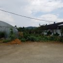 오가네농장 이미지