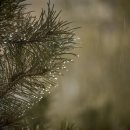 가야역 4번 출구 이미지