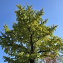 요사채 | 금정산 범어사 원효암金井山 梵魚寺 元曉菴 2