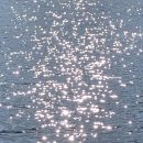 더파머스 이미지