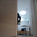 부산바퀴벌레퇴치는 하나방역 긴급출장소에서