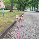 개린이집 이미지