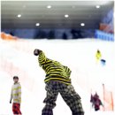 타이거 - 금천구 가산디지털1로 171 | 타이거