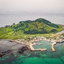 제주 비양도 호니토 이미지