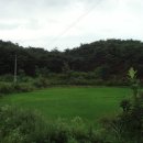 황토찜질방 이미지