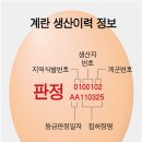 일파만파농장 이미지