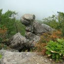 산창 45 대신(大神)의 미소 시조/반산 한상철 이미지