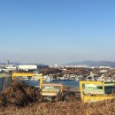 쿠라레코리아(유)