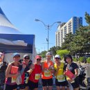 2026.05.09 23회 보령 머드 임해 마라톤 대회 ^^ 이미지