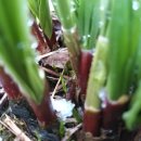 종명농장 이미지