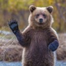 한운농장 이미지