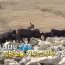 장정숙농장 티스토리