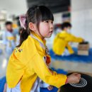 품 태권도장 이미지