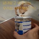 맛있다면 | 고양이가 간식을 잘 안 먹는다면 강아지고양이간식동결건조 북어추천,건강한데 맛있다면