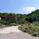 솔림목장 이미지