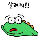 주식회사 도너츠 이미지