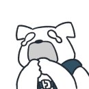 5진영호 이미지