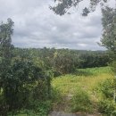 신흥보건진료소 이미지