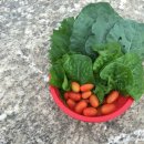 박종훈농장 이미지