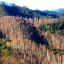 함양(대전) 이미지