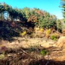 상주시내서면낙서보건진료소 이미지