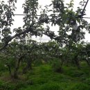 벌교펜션민박 이미지