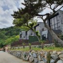 카누720애견풀빌라 이미지