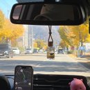 지호카센타 이미지