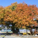 문곡2길 이미지