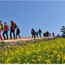 청산도느림보마을 이미지