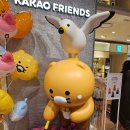 카카오프렌즈 신세계 센텀시티점 오픈 방문 후기 / 위치