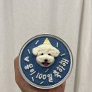 어화댕댕