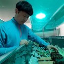 사람과곤충영농조합법인
