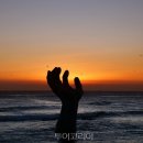 포항바다화석박물관 이미지