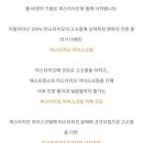 폴바셋연세와
