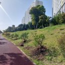 일주동로 이미지