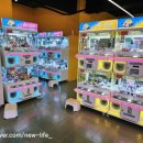 주니 퍼니 이미지